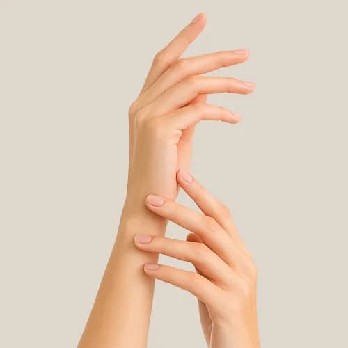 Handverjüngung